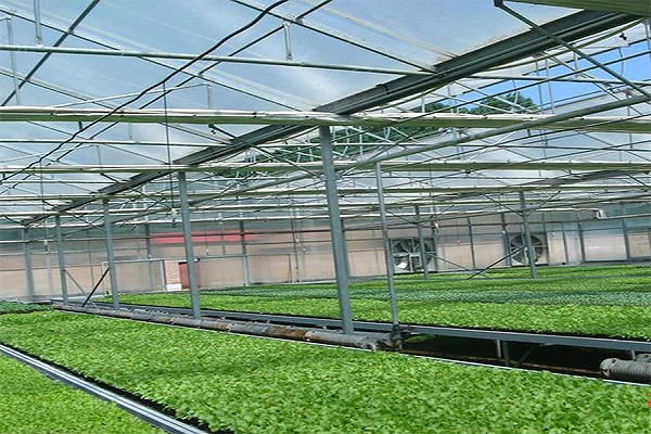 What Good Performance Twin Wall Polycarbonate Sheet Has ?